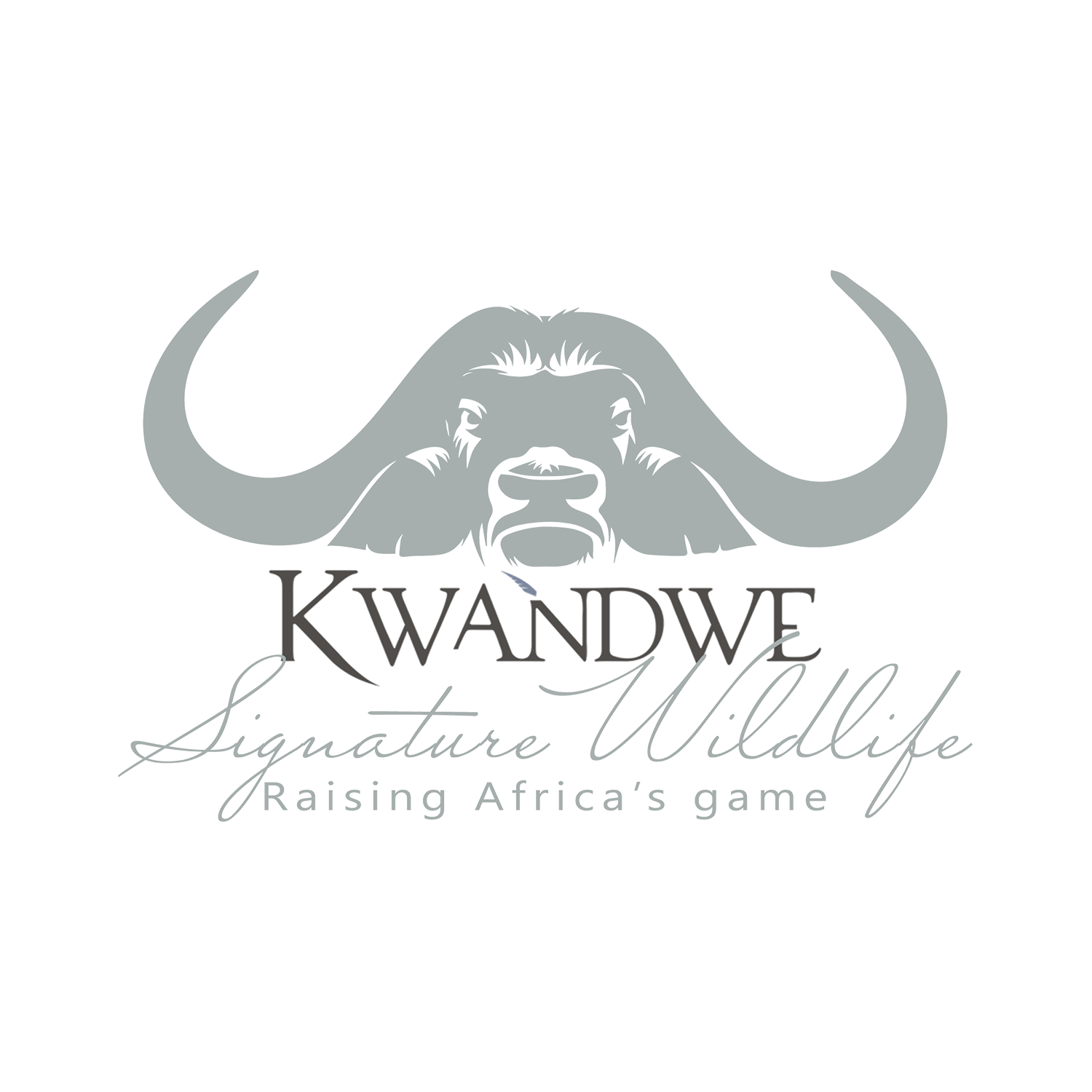 Kwandwe Signature Wildlife